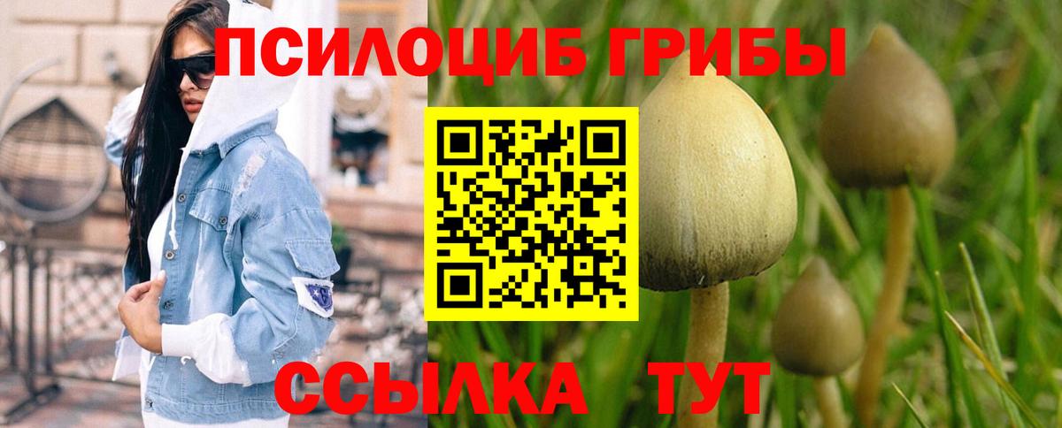 Галлюциногенные грибы GOLDEN TEACHER  Вход с VPN  Пенза 