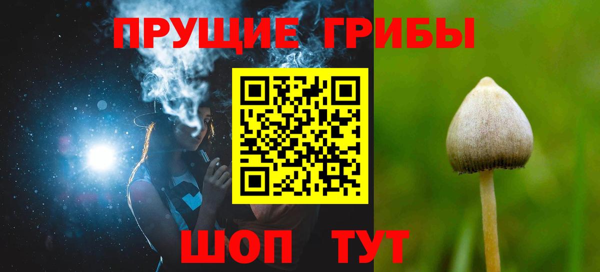 Галлюциногенные грибы GOLDEN TEACHER Пенза
